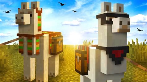 Like donkeys and mules, players can use llamas to carry items in Minecraft. Players must right-click on a tamed llama to insert the chest on his back. Llamas can have 3,6,9,9,12, or 15 slots ...